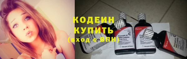 дурь Арсеньев