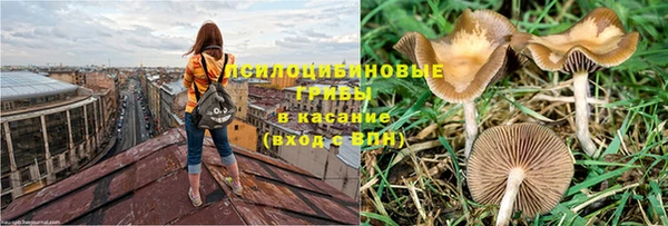дурь Арсеньев