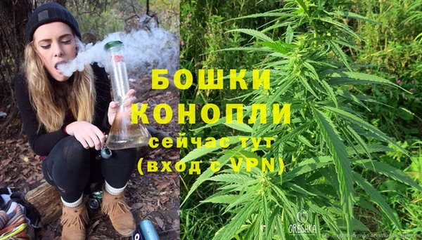 дурь Арсеньев